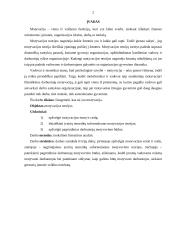 Motyvacijos esmė ir raida 2 puslapis