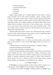 Motyvacijos esmė ir raida 6 puslapis