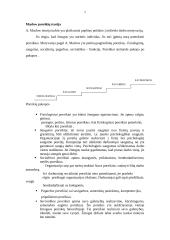 Poreikių motyvacija 2 puslapis
