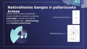 Šviesos poliarizacija ir jos taikymas praktikoje 3 puslapis
