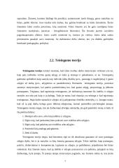 Šiuolaikinės motyvacijos teorijos 7 puslapis