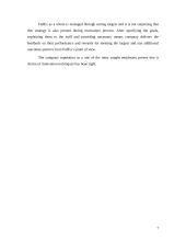 Motivation system at FedEx 7 puslapis