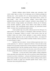 Motyvavimo ir vadovavimo teorijos 2 puslapis