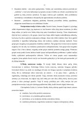 Motyvavimo ir vadovavimo teorijos 11 puslapis