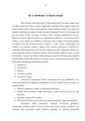 Motyvavimo ir vadovavimo teorijos 12 puslapis