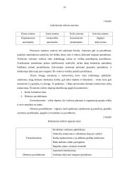 Motyvavimo ir vadovavimo teorijos 14 puslapis