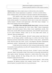 Motyvavimo ir vadovavimo teorijos 15 puslapis