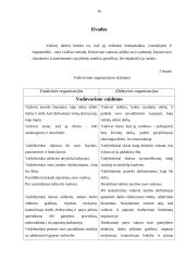 Motyvavimo ir vadovavimo teorijos 16 puslapis