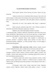 Motyvuojančios darbo aplinkos kūrimas 13 puslapis