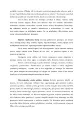 Motyvuojančios darbo aplinkos kūrimas 14 puslapis