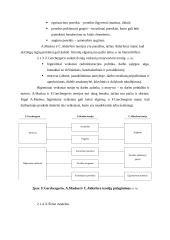 Motyvuojančios darbo aplinkos kūrimas 5 puslapis