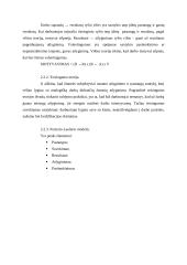 Motyvuojančios darbo aplinkos kūrimas 7 puslapis