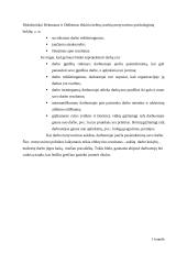 Motyvuojančios darbo aplinkos kūrimas 9 puslapis