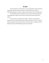 Muziejaus ekspozicijų parengimo ir pristatymo lankytojams proceso valdymo praktika 11 puslapis