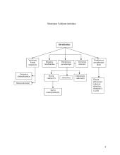 Muziejaus ekspozicijų parengimo ir pristatymo lankytojams proceso valdymo praktika 4 puslapis