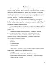 Muziejaus ekspozicijų parengimo ir pristatymo lankytojams proceso valdymo praktika 8 puslapis