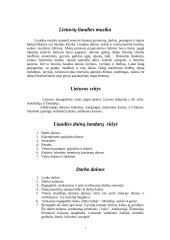 Lietuvos muzikos istorija 2 puslapis