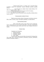 Lietuvos muzikos istorija 5 puslapis