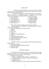 Lietuvos muzikos istorija 7 puslapis