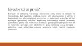 Ar reikalinga plėsti baudžiamosios atsakomybės ribas už vairavimą apsvaigus nuo alkoholio? 14 puslapis