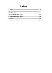 Nacionalinis biudžetas 2 puslapis