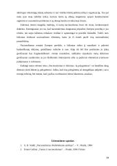 Nacionalizmas ir fašizmas. Nacionalizmo ir fašizmo palyginimas 13 puslapis