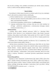 Nacionalizmas ir fašizmas. Nacionalizmo ir fašizmo palyginimas 7 puslapis