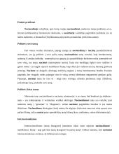 Nacionalizmo ir nacizmo skirtumai 3 puslapis