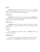 Nacionalizmo ir nacizmo skirtumai 4 puslapis