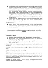 Tarpdisciplininių metodų taikymas įtraukiajame ugdyme. Meninis pratimas 2 puslapis