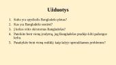 Bangladešas 12 puslapis
