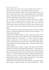 Naftos produktai ir jų tarša