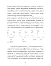 Naftos produktai ir jų tarša 9 puslapis