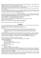 Europos viduramžiai 2 puslapis