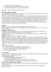 Europos viduramžiai 11 puslapis