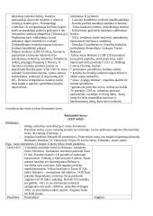 Europos viduramžiai 14 puslapis