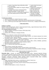 Europos viduramžiai 15 puslapis