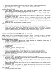 Europos viduramžiai 16 puslapis