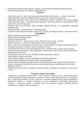 Europos viduramžiai 17 puslapis