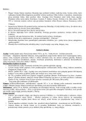 Europos viduramžiai 4 puslapis