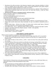 Europos viduramžiai 5 puslapis