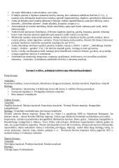 Europos viduramžiai 6 puslapis