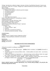 Europos viduramžiai 7 puslapis