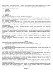 Europos viduramžiai 8 puslapis