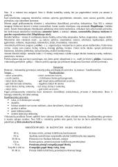 Europos viduramžiai 9 puslapis