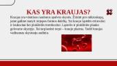 Kraujo ligos (skaidrės) 2 puslapis