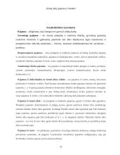 Namų ūkių pajamos ir išlaidos 13 puslapis