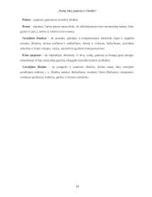 Namų ūkių pajamos ir išlaidos 14 puslapis