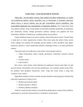 Namų ūkių pajamos ir išlaidos 3 puslapis