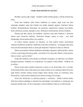 Namų ūkių pajamos ir išlaidos 4 puslapis